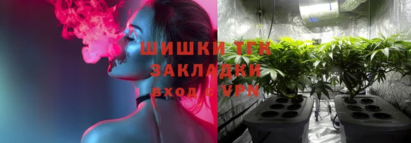 гидра Горняк