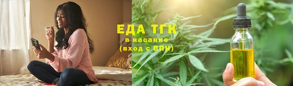 гидра Горняк