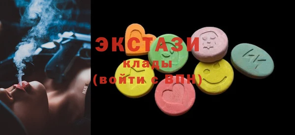 гидра Горняк