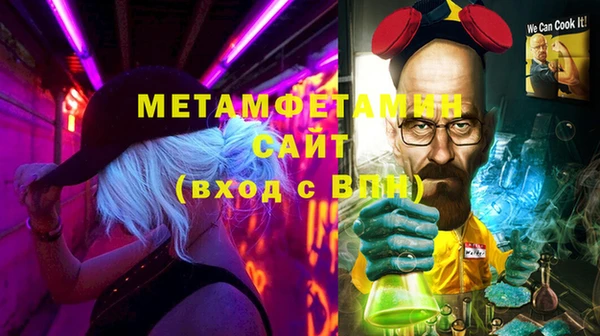 гидра Горняк