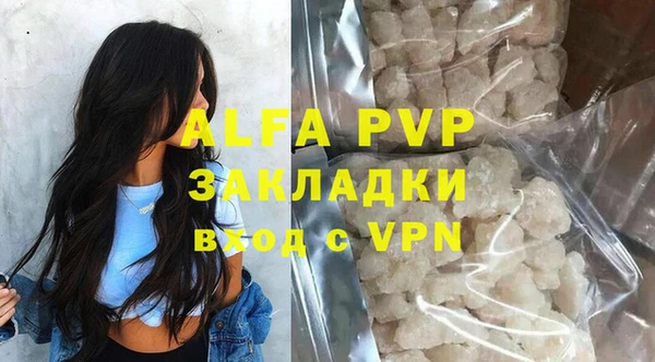 гидра Горняк