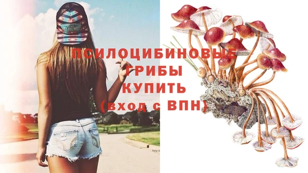 эйфоретик Горно-Алтайск