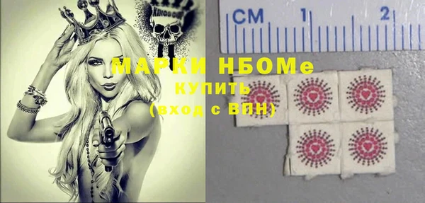 гидра Горняк