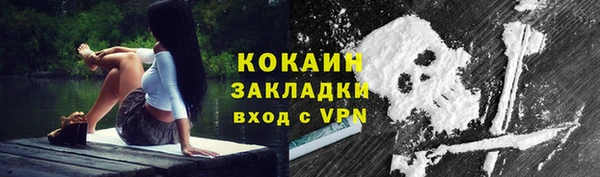 гидра Горняк