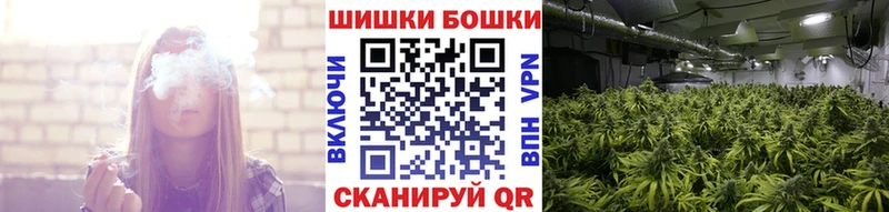 Бошки марихуана Amnesia  Купить где  Кораблино 